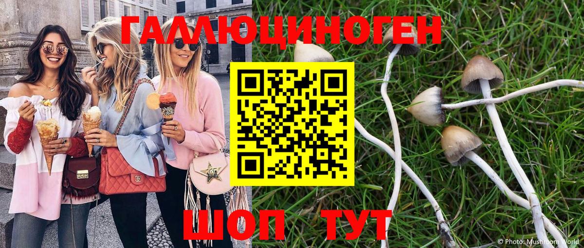 Краснознаменск  Галлюциногенные грибы ЛСД  Вход с VPN 